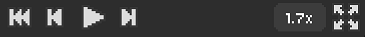 播放设置